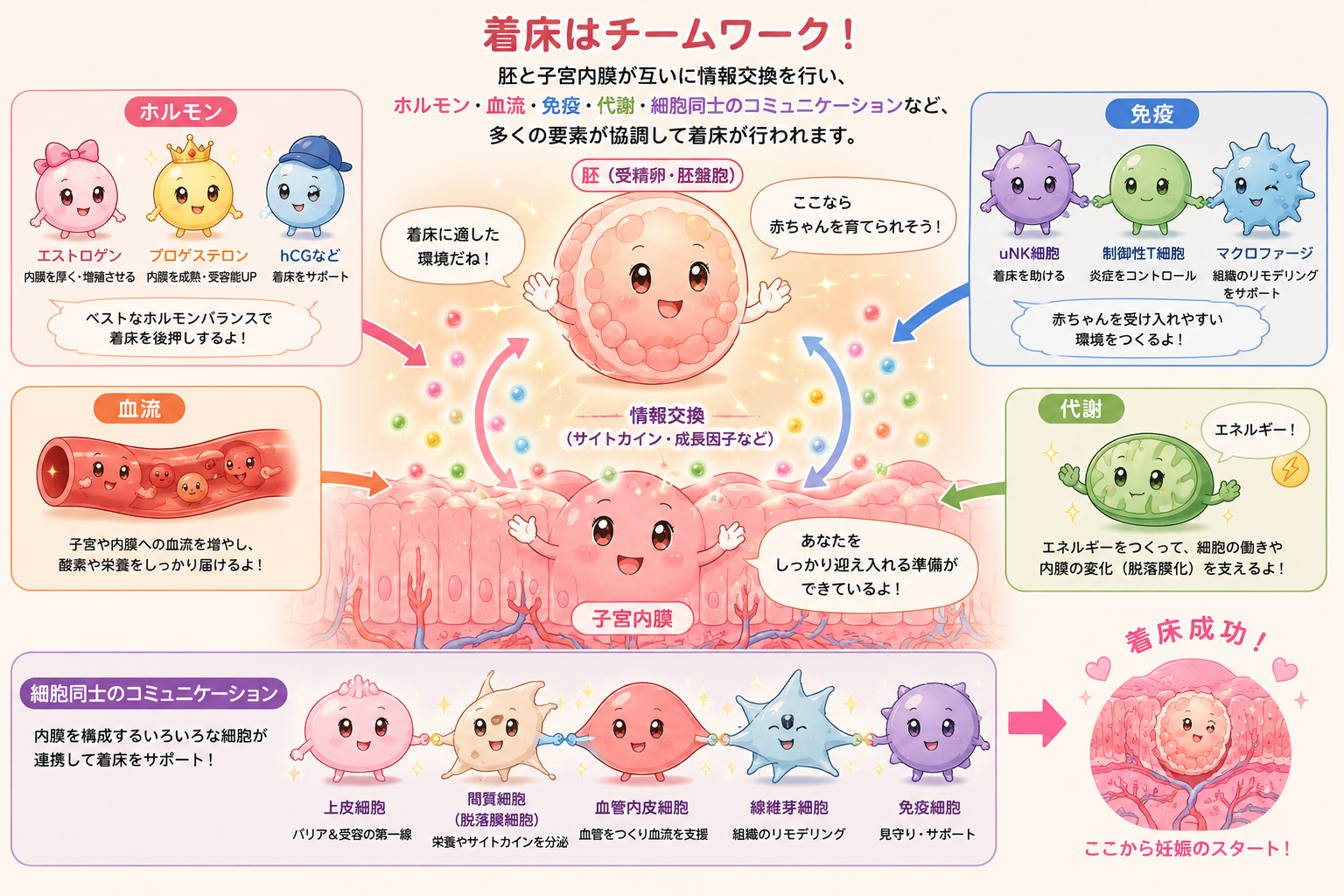 着床のメカニズムはここまで分かってきた～「良い胚が子宮にくっつく」だけではない、最新の着床研究～
